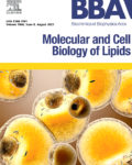 Biochimica et Biophysica Acta (BBA) – Molecular and Cell Biology of Lipids