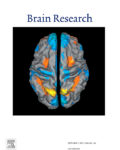 Brain Research