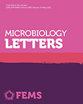 FEMS Microbiology Letters