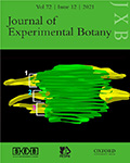 Journal Of Experimental Botany