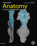 Journal of Anatomy