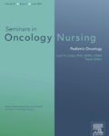 Seminars in Oncology Nursing