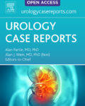 Urology Case Reports
