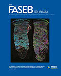 FASEB Journal, The