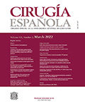 Cirugía Española (English Edition)