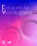 Extracellular Vesicle
