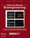 Cellular and Molecular Bioengineering