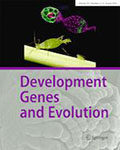 Development Genes and Evolution