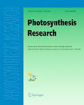 Photosynthesis Research
