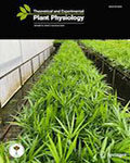 Theoretical and Experimental Plant Physiology