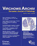 Virchows Archiv
