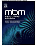 Mechanobiology in Medicine