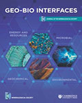 Geo-Bio Interfaces